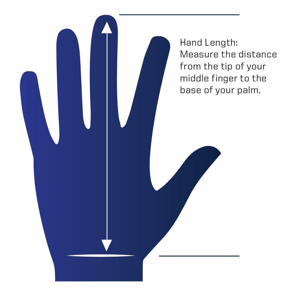 Hand Measurement Graphic